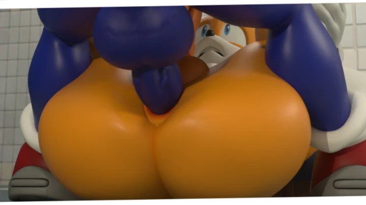 Sonic's Revenge