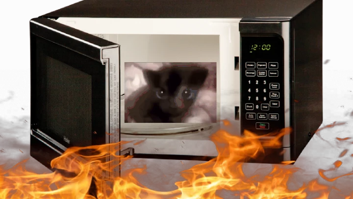 You are Stuck in a Microwave