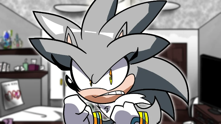 Silver Addresses The Allegations
