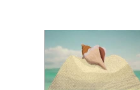 Make Some Noise Animated: Sand Castle