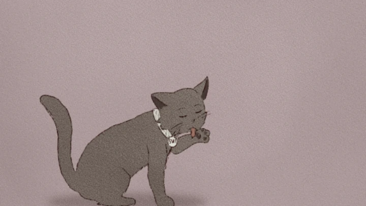 Febuary and March Animations
