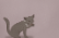 Febuary and March Animations
