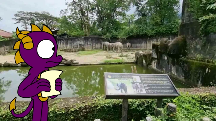 Spyro at the Zoo