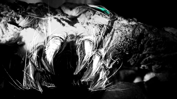 Parasite