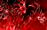 Zalgo transformation
