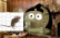 5:00 PM- The Mascots Take Over!