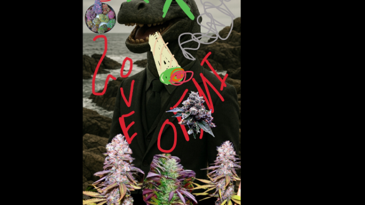 Magic Shroom Blast
