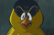Mooch (2025) - Animated Sequences