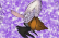 MY SAKUGA ANIMATION