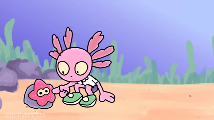 axolotl regeneration
