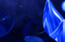 Fuyu - Nothing Unusual 2