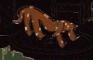 dog shaped hole