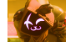 Raven team leader first debut
