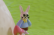 Bunny Isolate