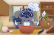 Raccoons Love Cake