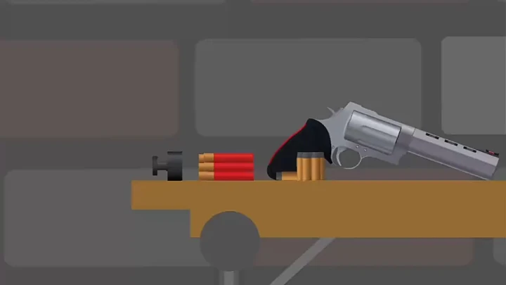 Taurus raging bull test