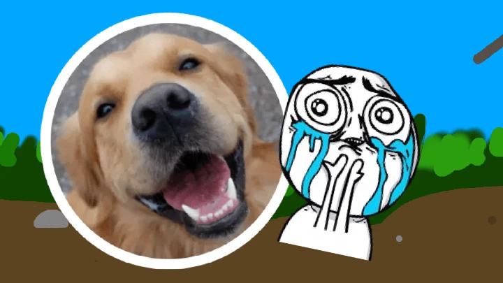 How I talk to dogs versus people