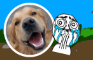 How I talk to dogs versus people