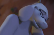 Toriel : This emptiness I should fill
