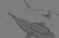 Ship Jump- A Critical Role animatic