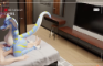 ~ Serpentine Soirée - Part 14 ~ ✨Animated! 📷 A Voyeur angle?!