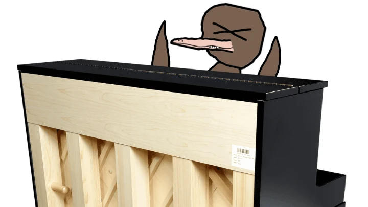 A Pooble Playing Piano
