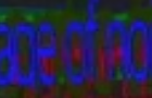 LANGUAGE:SIGNAL:IAMNOTNOISE!:CONNECT!
