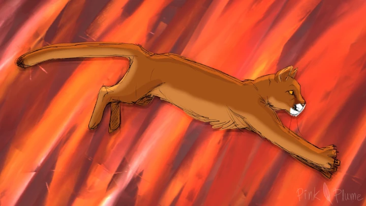 Wild Beasts