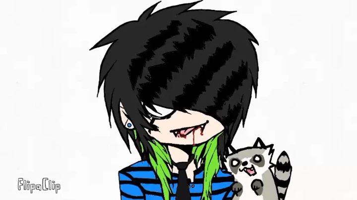 racoon