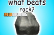 What Beats Rock?