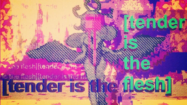 [tender is the flesh]