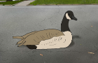 Spitwads - The Goose Experiment