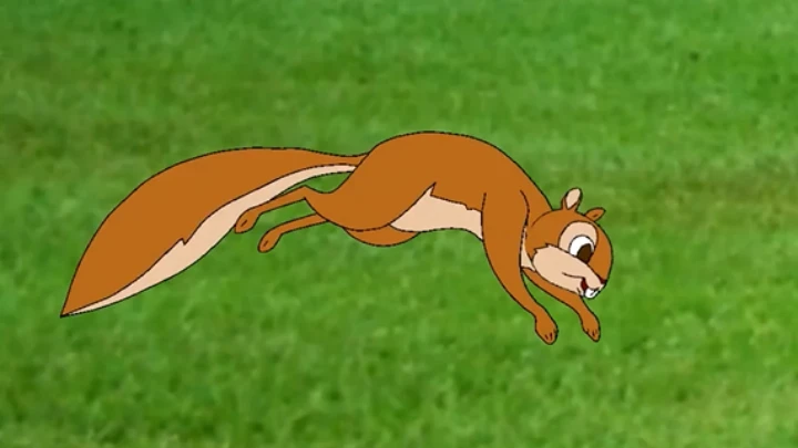 Squirrel team up
