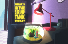 What&amp;#039;s Happening in the Shrimp Tank Today?