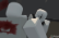 Madness Roblox?