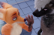 [Movie] Juzo Haida and Nick Wilde - After-Hours