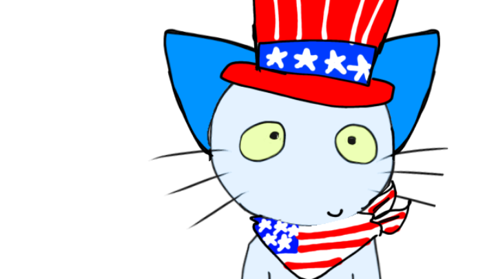 Teach the cat