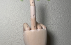 MORNING WOOD HAND