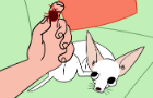 Dog Treats