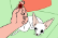 Dog Treats