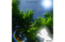 Skule Toyama - Broken Drive (Music Video)