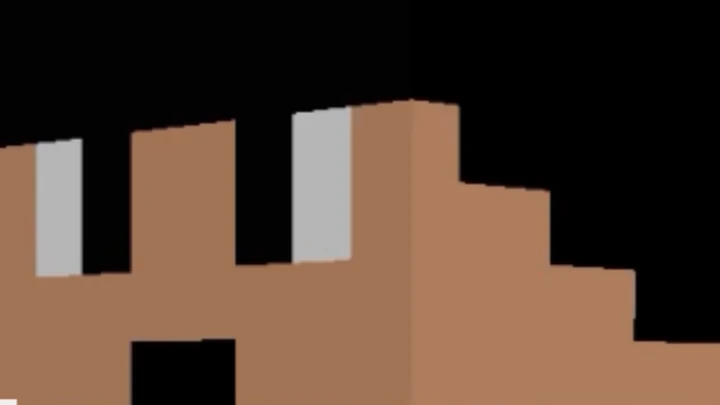 Can't Track His IP