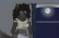 Werewolf Girl Posting v2