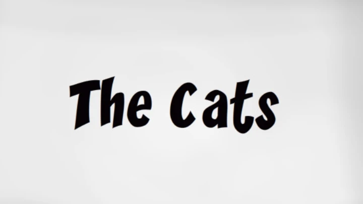 the Cats