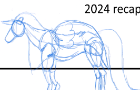 2024 animation recap