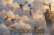 Arcanorum ( Reborn )