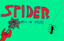 Spider