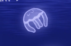 moon jellies