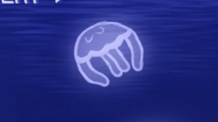 moon jellies