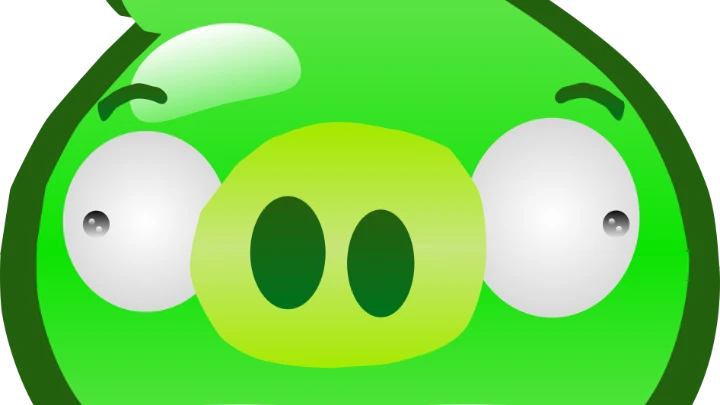 Angry birds Vine Compilation